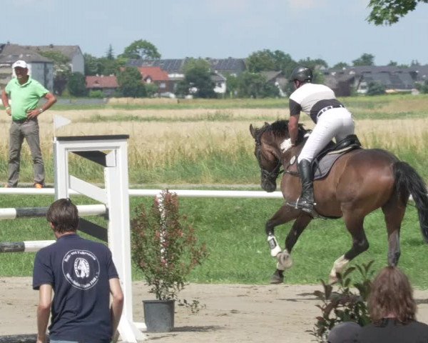 Reitturnier Biebesheim 2021