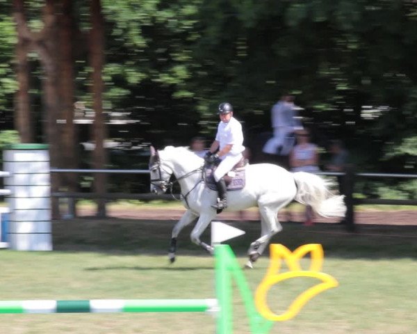 Reitturnier Nienburg 2021