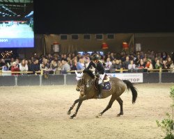 jumper Celina (KWPN (Royal Dutch Sporthorse), 2007, from Crawford)