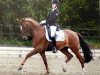 dressage horse Fin C WE (German Riding Pony, 2003, from Famos)