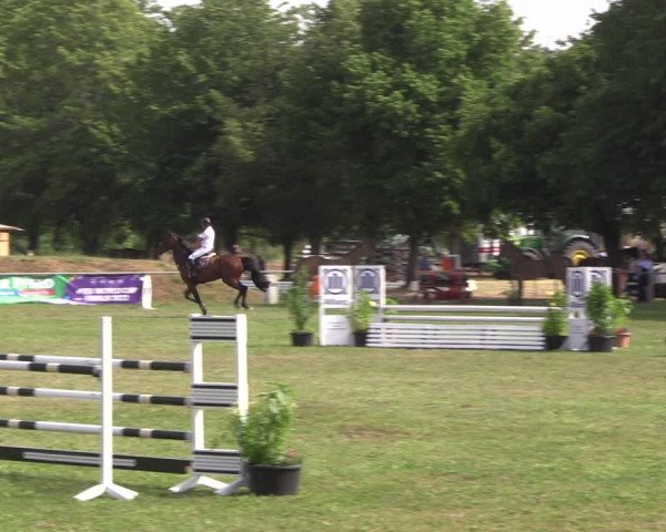 Reitturnier Reitstadion Löbnitz 2021