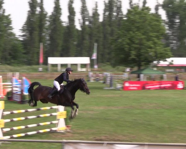 Reitturnier Reitstadion Löbnitz 2021