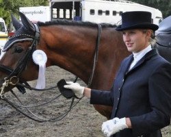 dressage horse Rimrok B (Rhinelander, 1997, from Remarque)