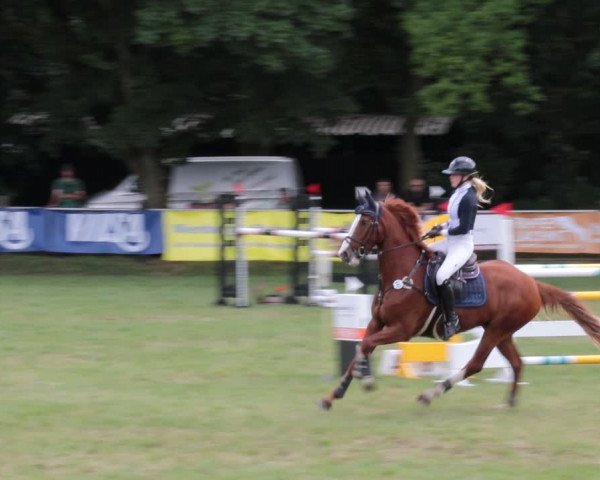 Reitturnier Nienburg 2021
