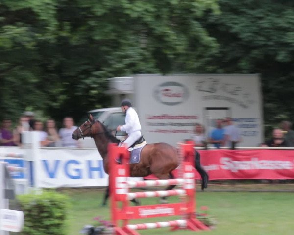 Reitturnier Nienburg 2021