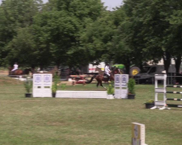Reitturnier Reitstadion Löbnitz 2021