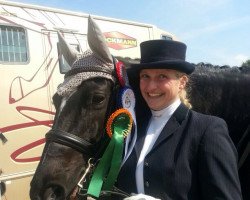 dressage horse Fiora B (Rhinelander, 2003, from Fiderglanz)