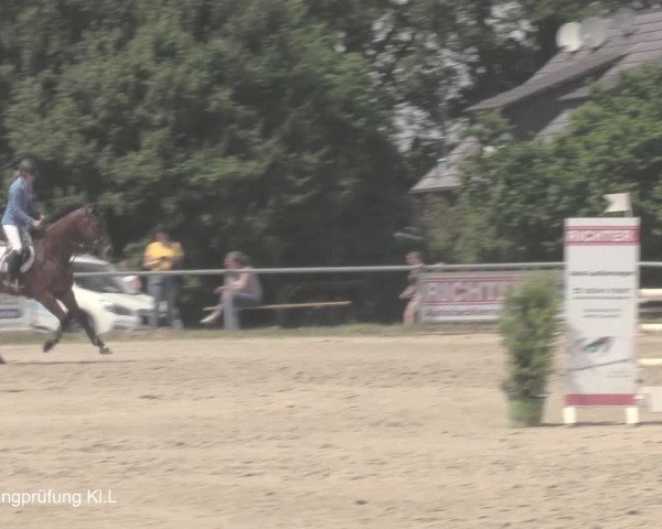 Reitturnier Coesfeld/Lette 2021