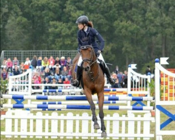 dressage horse Flying Frisbee (Rhinelander, 2008, from Fidertanz)