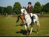 jumper Showman 22 (Polish Warmblood, 2008, from Rhytmus S)