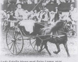 stallion Fairy Lamp (Shetland Pony, 1917, from Electric Light)