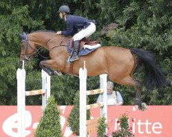 jumper Egano van het Slogenhof (Belgian Warmblood, 2004, from Electro)