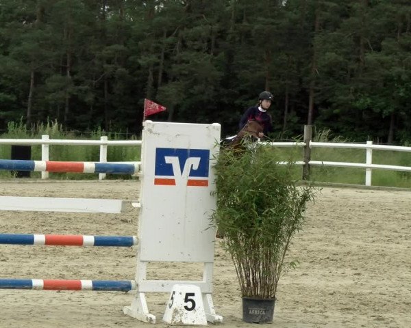 Reitturnier Nordstetten- Horb 2021