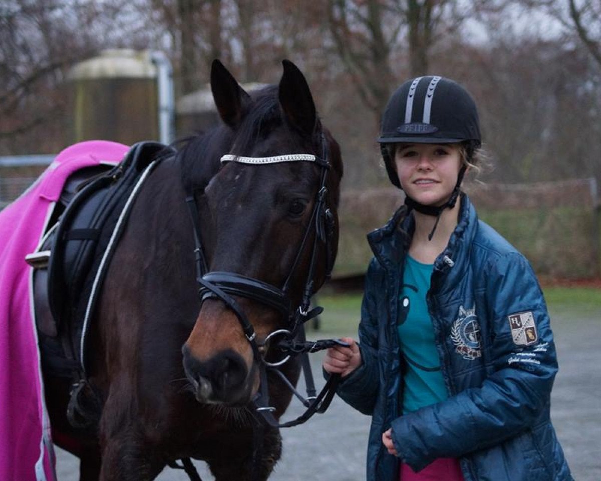 Springpferd Blue Jeans Sz (KWPN (Niederländisches Warmblut), 2004, von Hemmingway)