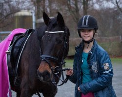 jumper Blue Jeans Sz (KWPN (Royal Dutch Sporthorse), 2004, from Hemmingway)