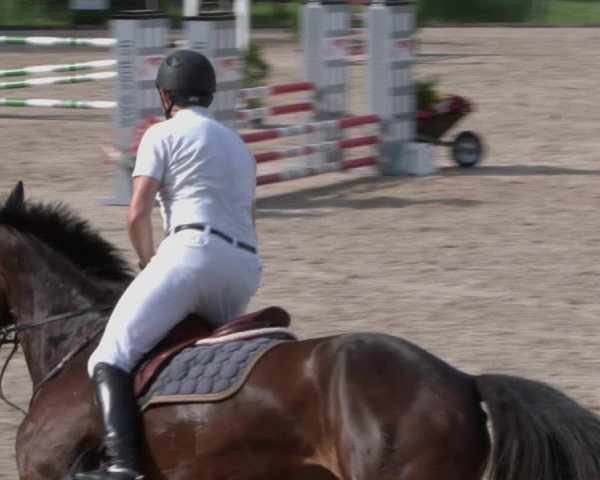 Reitturnier Meilen 2021