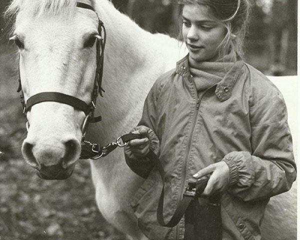 Pferd Twiggy of Wychwood (New-Forest-Pony, 1969, von Furzey Lodge Victory)