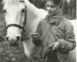 horse Twiggy of Wychwood (New Forest Pony, 1969, from Furzey Lodge Victory)