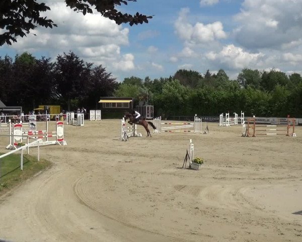 Reitturnier Fröndenberg 2021