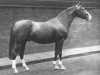 stallion Silverdale Tarragon xx (Thoroughbred, 1930, from Tabarin xx)
