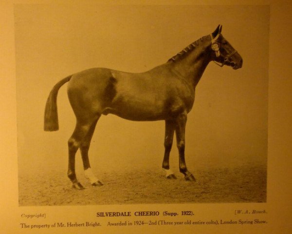 Deckhengst Silverdale Cheerio (British Riding Pony, 1921)