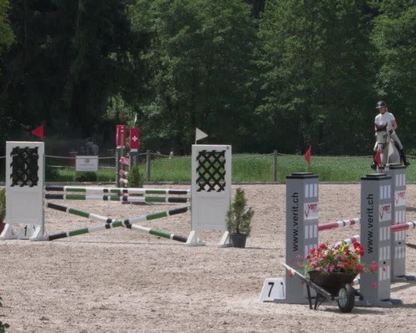 Reitturnier Meilen 2021