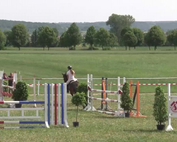 Reitturnier Bad Windsheim/Mfr. 2021