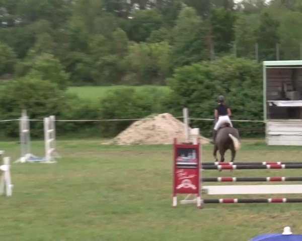 Reitturnier Bad Windsheim/Mfr. 2021
