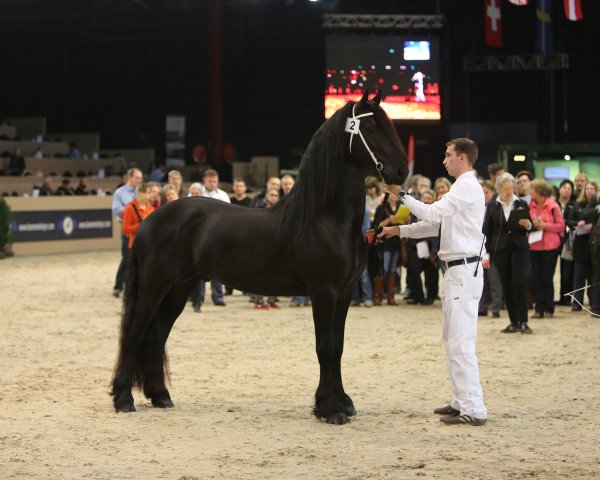 horse Kicke (Friese, 2011)