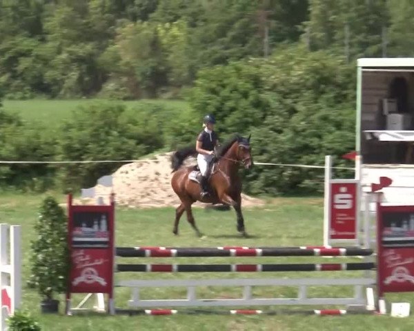Reitturnier Bad Windsheim/Mfr. 2021