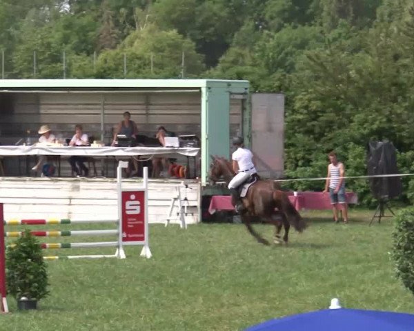 Reitturnier Bad Windsheim/Mfr. 2021