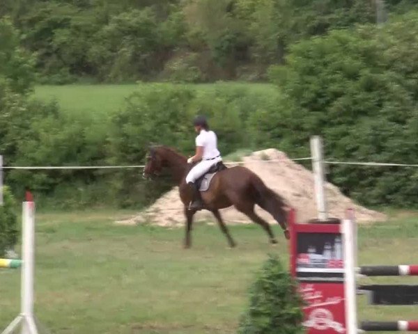 Reitturnier Bad Windsheim/Mfr. 2021