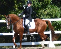 stallion Kessy's Derano (German Riding Pony, 1993, from Derano Gold)