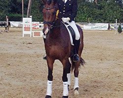 dressage horse Rock Titan (Westphalian, 2010, from Rock Forever NRW)