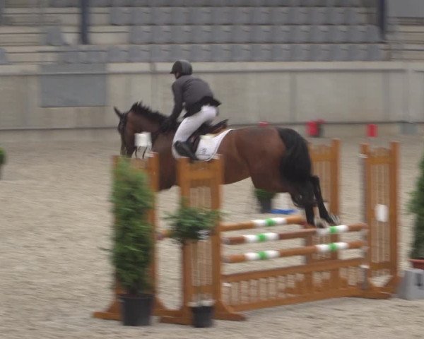 Reitturnier Aachen 2021
