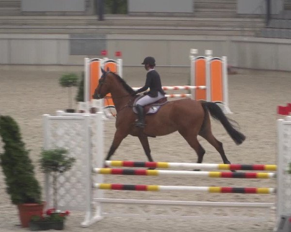 Reitturnier Aachen 2021