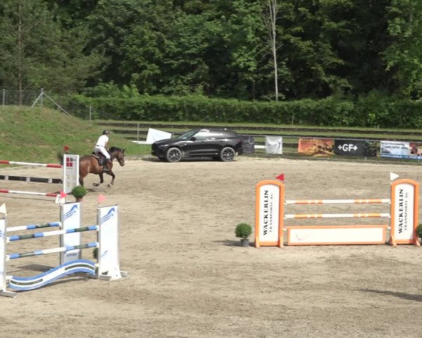 Reitturnier Schaffhausen 2021