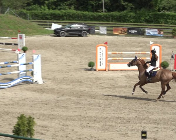 Reitturnier Schaffhausen 2021