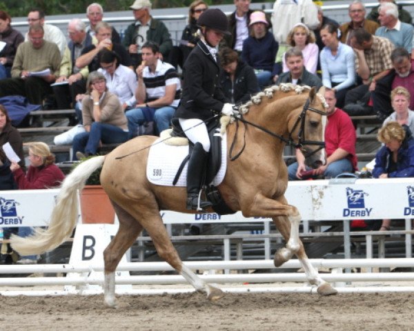 dressage horse het Dragon Heart (German Riding Pony, 2005, from HET Golden Dream)