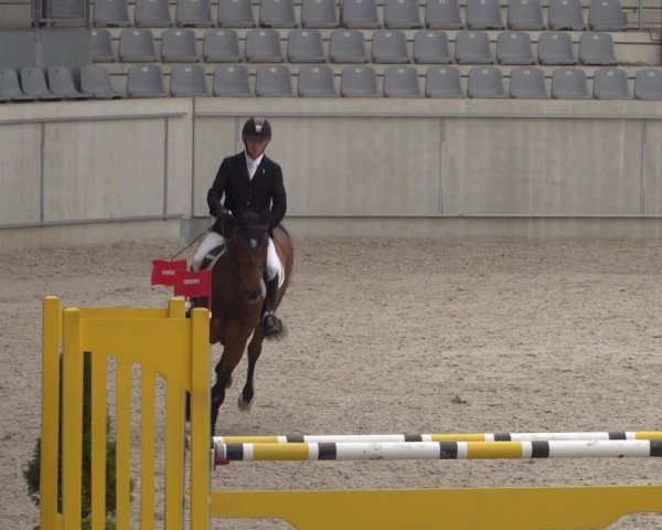 Reitturnier Aachen 2021