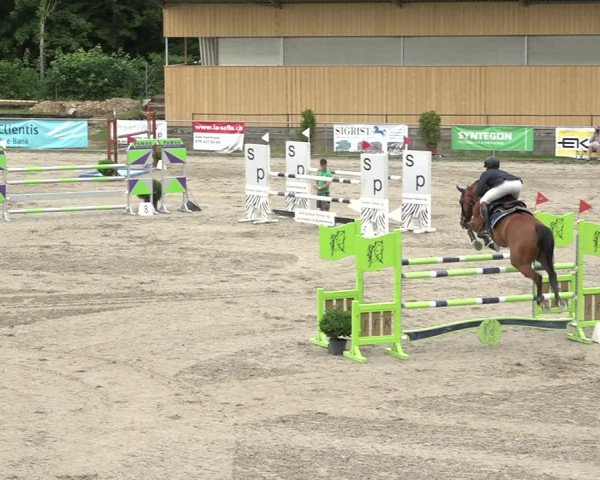 Reitturnier Schaffhausen 2021