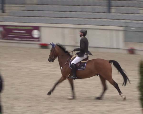 Reitturnier Aachen 2021