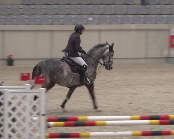 Reitturnier Aachen 2021