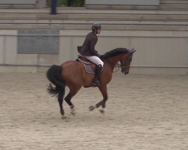 Reitturnier Aachen 2021