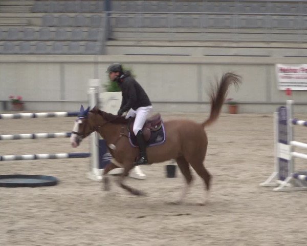 Reitturnier Aachen 2021