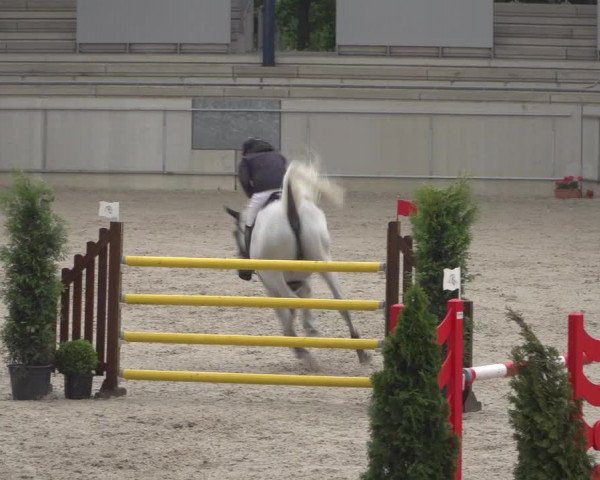 Reitturnier Aachen 2021