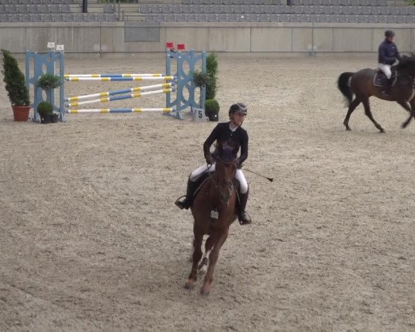 Reitturnier Aachen 2021