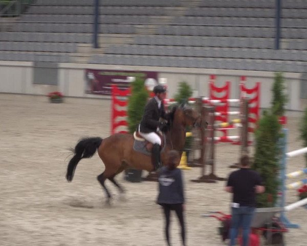 Reitturnier Aachen 2021