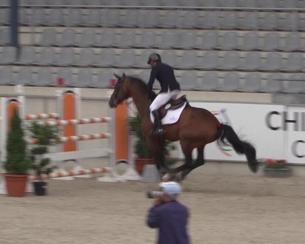 Reitturnier Aachen 2021