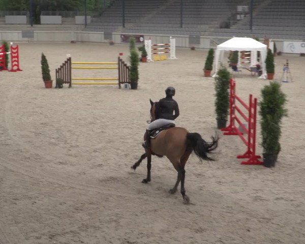 Reitturnier Aachen 2021